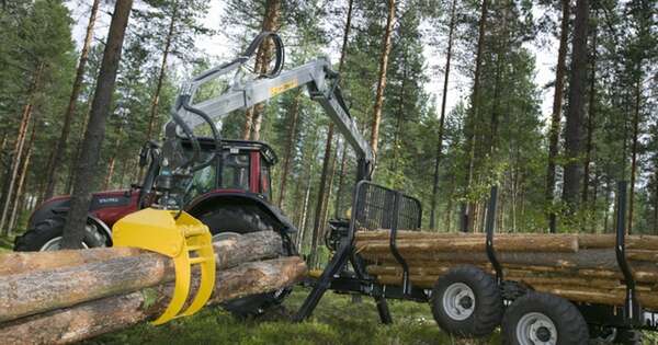 La Nación / Hasta octubre Paraguay exportó productos forestales por USD 83 millones