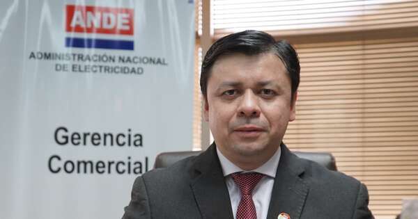 La Nación / Ande negocia con 12 instituciones estatales morosas: “Cuando hay voluntad llegamos a acuerdos”