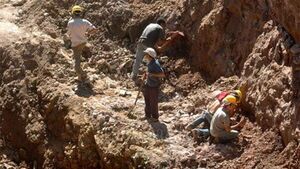 Empresa minera exportó 600 kilos de oro desde Paso Yobái en 2024 y descarta "mercado paralelo"