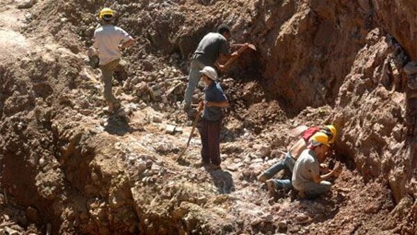 Empresa minera exportó 600 kilos de oro desde Paso Yobái en 2024 y descarta "mercado paralelo"