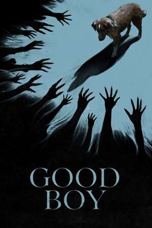 Good Boy - Cine y TV - ABC Color