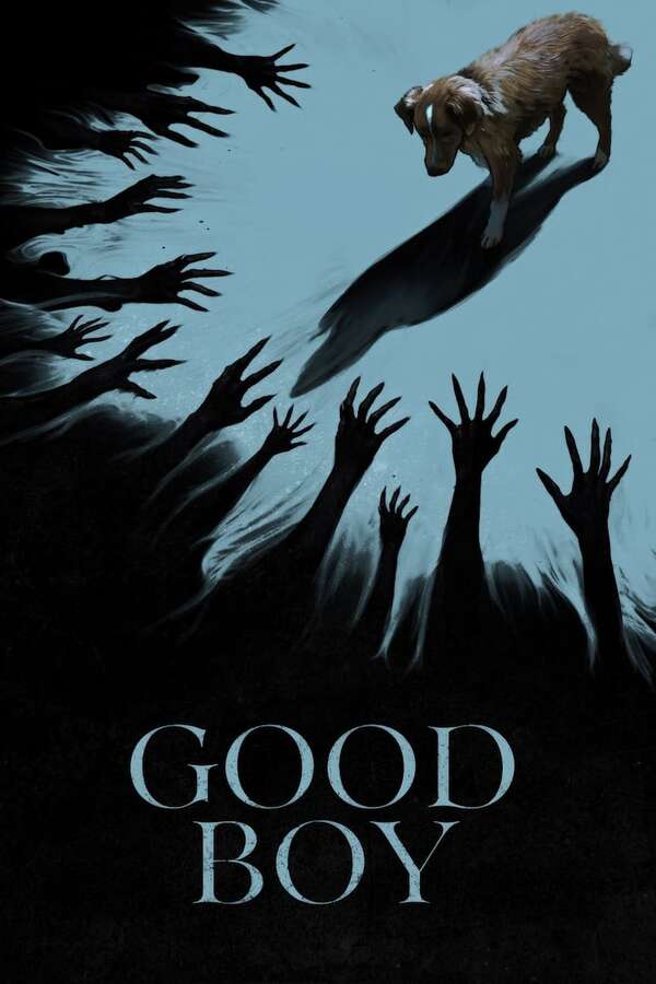 Good Boy - Cine y TV - ABC Color