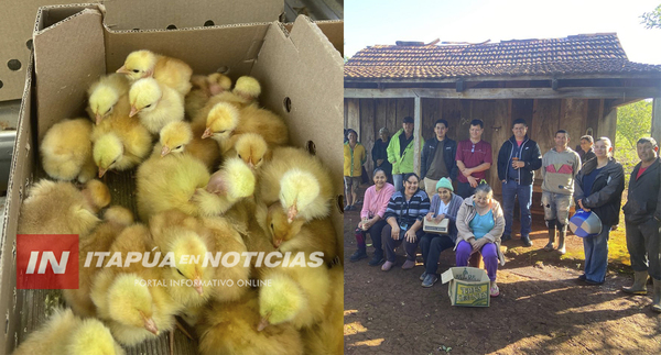 HOHENAU ALCANZA LA ENTREGA DE 8.000 POLLITOS A PRODUCTORES FAMILIARES DURANTE EL 2025