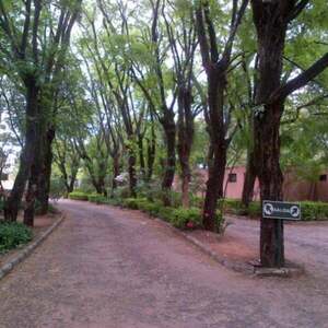 Habilitan el Parque Seminario para hinchas de la Sudamericana - Portal Digital Cáritas Universidad Católica