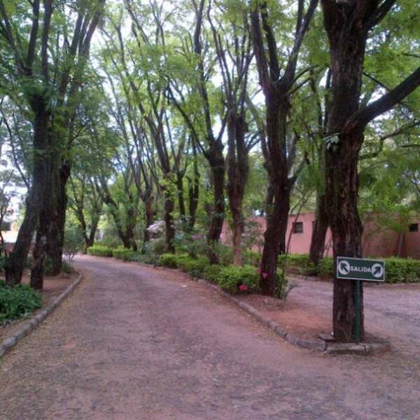 Habilitan el Parque Seminario para hinchas de la Sudamericana - Portal Digital Cáritas Universidad Católica
