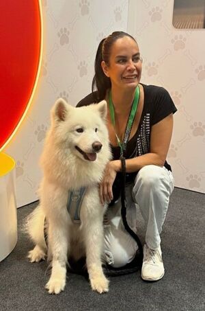 Popular / ¡Ambeña!. Lanzan calendario gatuno y perrino para campaña de castración masiva