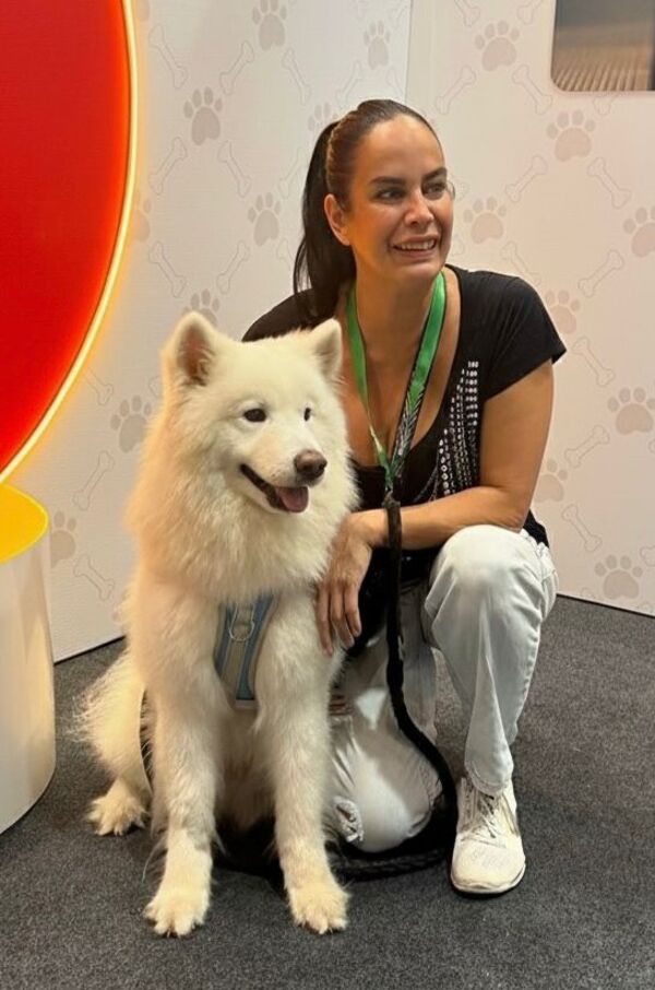 Popular / ¡Ambeña!. Lanzan calendario gatuno y perrino para campaña de castración masiva