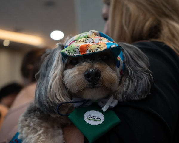 Agrofield ofrece un portfolio completo para el bienestar de las mascotas - trece