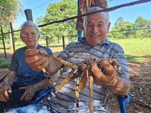 Guachas, lazos y tradición: el arte que aún se forja en Santiago - Nacionales - ABC Color