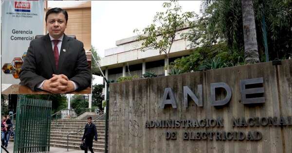 La Nación / Ande negocia deuda con 12 instituciones estatales