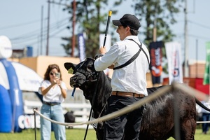 “Nos sobran los motivos”: Pukavy abre su banco genético y celebra un año histórico, el domingo con El Rodeo
