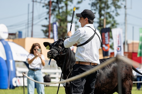 “Nos sobran los motivos”: Pukavy abre su banco genético y celebra un año histórico, el domingo con El Rodeo