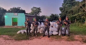 Desmantelan un campamento de prensado de marihuana en la reserva Mbaracayú