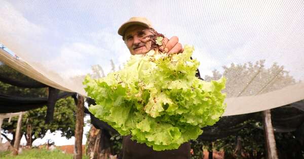 La Nación / Jepytaso impulsa la agricultura familiar con créditos blandos y asistencia técnica