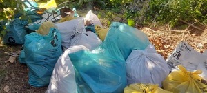 Gobernación de Itapúa realiza minga ambiental en el Hogar de Ancianos Santa María