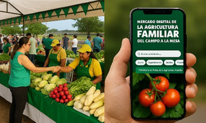 El MAG lanza app para digitalizar la venta de productos de la Agricultura Familiar - OviedoPress