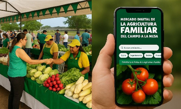 El MAG lanza app para digitalizar la venta de productos de la Agricultura Familiar - OviedoPress