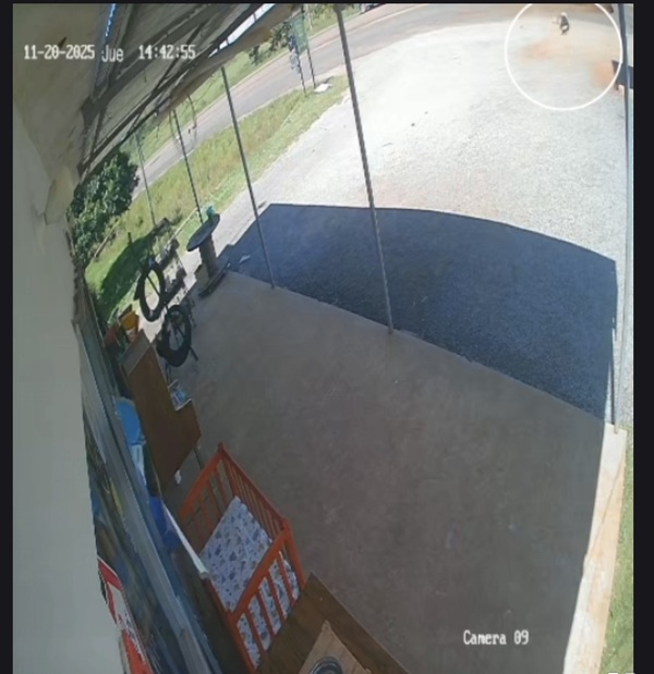 Buscan identificar al conductor que atropelló a un menor en Curuzú Ñu - Concepción al Día