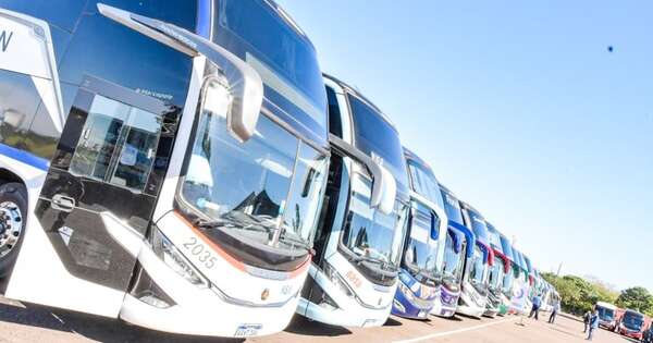 La Nación / Gobierno y sector privado presentan nueva flota de 77 buses