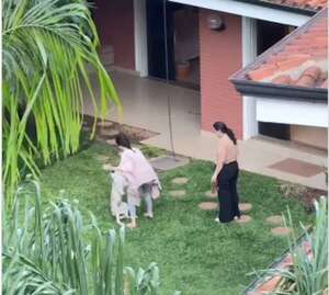 Video: investigan maltrato animal en un “centro de bienestar” - Nacionales - ABC Color