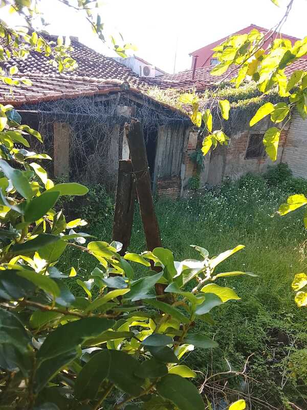 Vecinos exigen limpieza e intervención en vivienda abandonada del barrio Centro - Concepción al Día