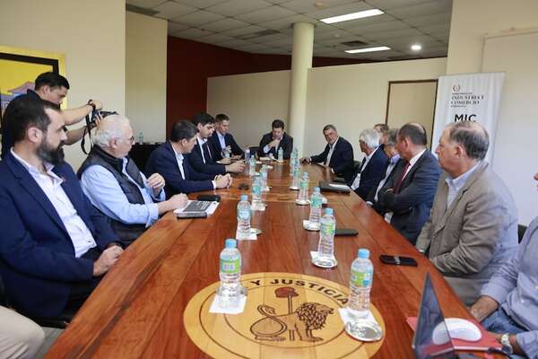 Más hato y carne para todos: las metas que el MIC trazó con el sector ganadero  - Economía - ABC Color