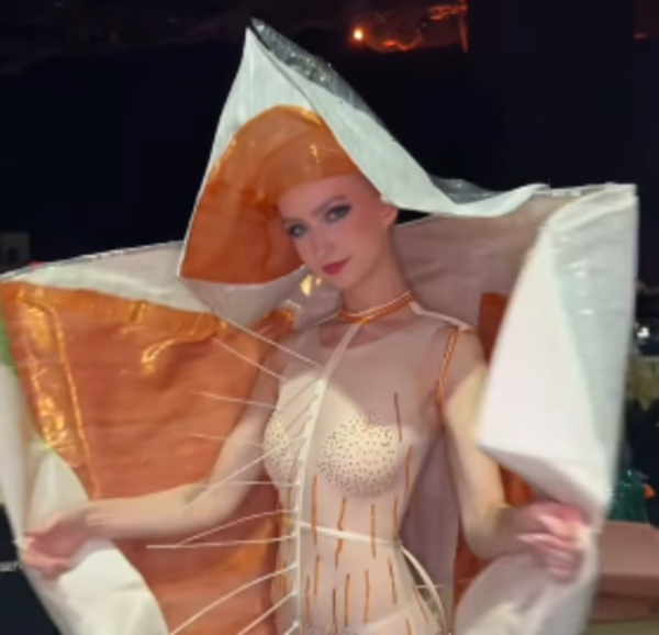 Críticas y memes por el traje de Miss Noruega - Teleshow