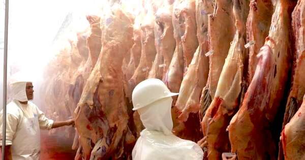 La Nación / La carne bovina paraguaya incrementa su exportación en 24 %