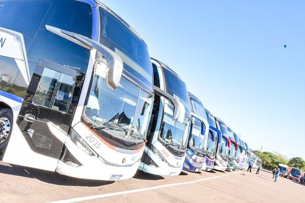 Presentan nuevos buses para servicios de corta, media, larga distancia - trece