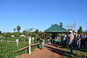 Proyectos sustentables y creatividad destacan en la cuarta edición de la Expo Carreras en Carapeguá - Nacionales - ABC Color
