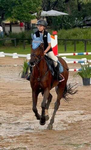 Hipismo: Saltan por la “Copa Acá Carayá” - Polideportivo - ABC Color