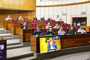 Memorándum de Entendimiento con EE.UU.: senadora Paredes denuncia “venta de soberanía” - Política - ABC Color