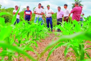 MAG garantiza asistencia a productores sin discriminación