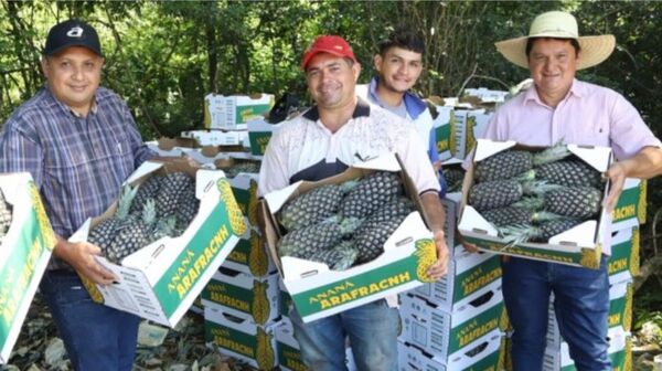 Productores de Alemán Cué concretan exportación de piñas a la Argentina