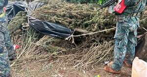 La Nación / Escudo Guaraní asesta duro golpe a narcos: incauta 9.400 kilos de marihuana en PJC