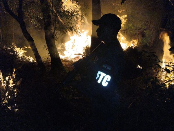 Incautaron y destruyeron 9.400 kilos de marihuana