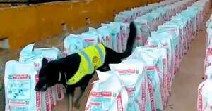 La Nación / Colombia decomisa 14 toneladas de cocaína, récord en la última década