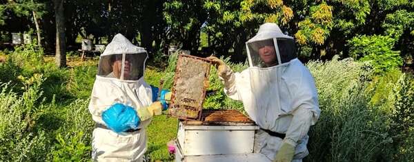 Miel santiagueña: un oficio familiar que perdura en el tiempo - Nacionales - ABC Color