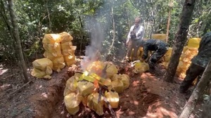 Allanamiento en Yby Yaú culmina con destrucción de más de 7 toneladas de marihuana - Concepción al Día