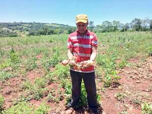 Productores frutihortícolas de Independencia piden apoyo estatal para competir con grandes empresas chaqueñas  - Nacionales - ABC Color