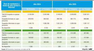 ¿Qué ha pasado con el empleo informal en Paraguay? - Económico - ABC Color
