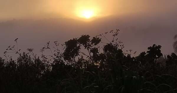 La Nación / Una visión enérgica