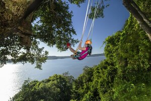Asueto 26 Diciembre: Peña evalúa "puente" para Navidad