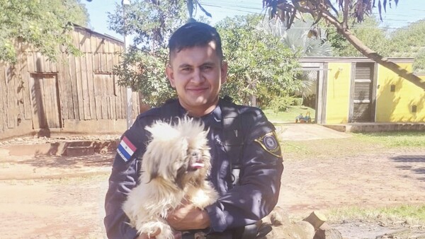 Jueza ordenó rescatar a una mascota robada