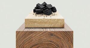 Los 3 productos forestales que lideran las exportaciones de Paraguay