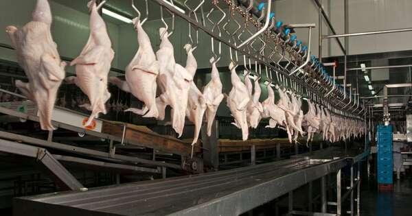 La Nación / Envíos de carne aviar a Filipinas es señal del crecimiento de la industria, dice ministro