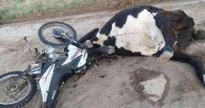 La Nación / Un motociclista resultó gravemente herido tras chocar con una vaca