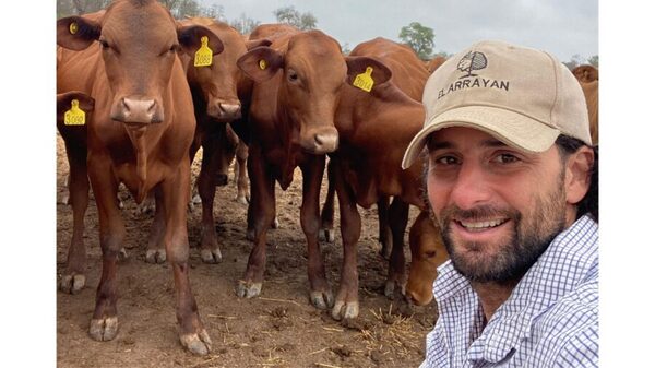 Paraguay frente a un nuevo ciclo ganadero: precios en alza y un mapa productivo que se reconfigura