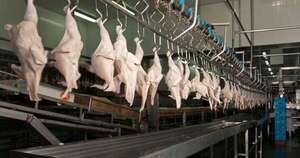 La Nación / Envíos, señal de expansión