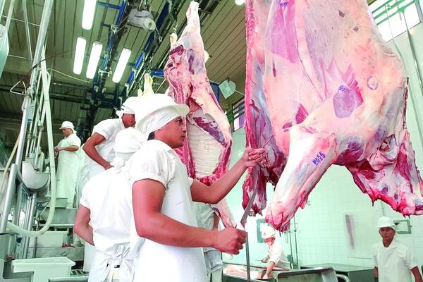 Carne: Exportaciones Récord y Caída de Precio Interno
